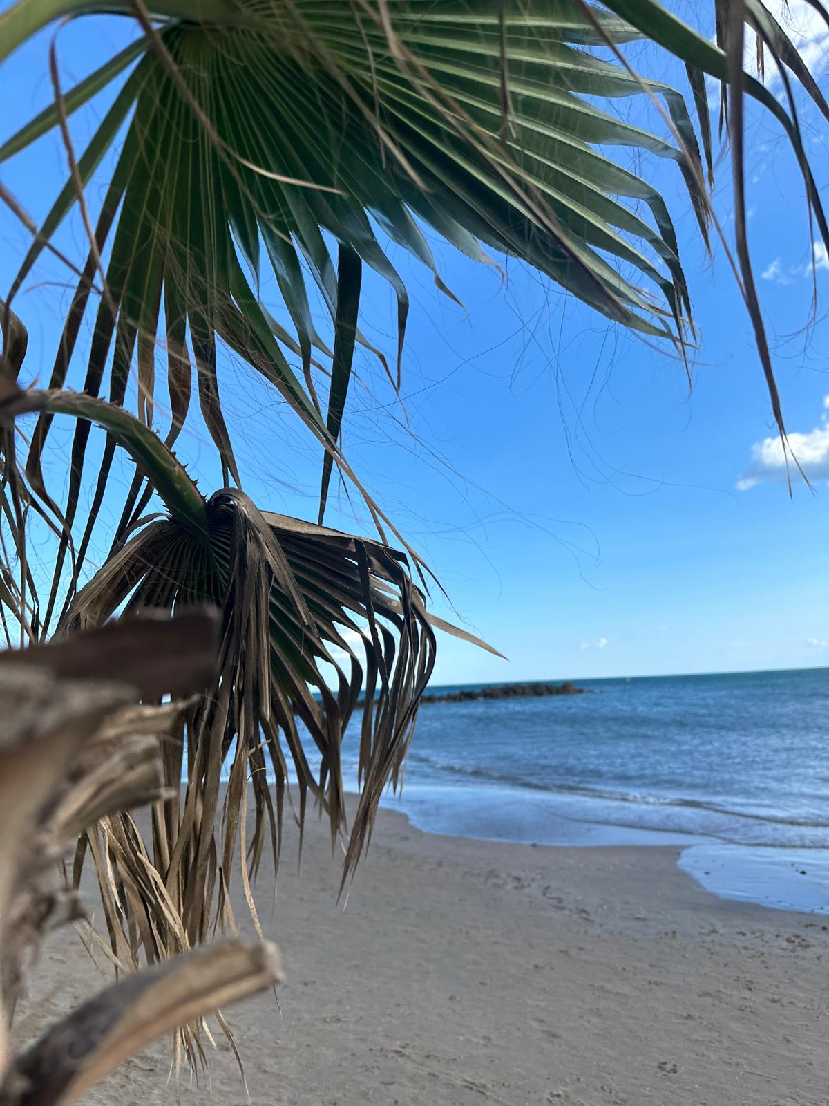 Strand Vias Plage