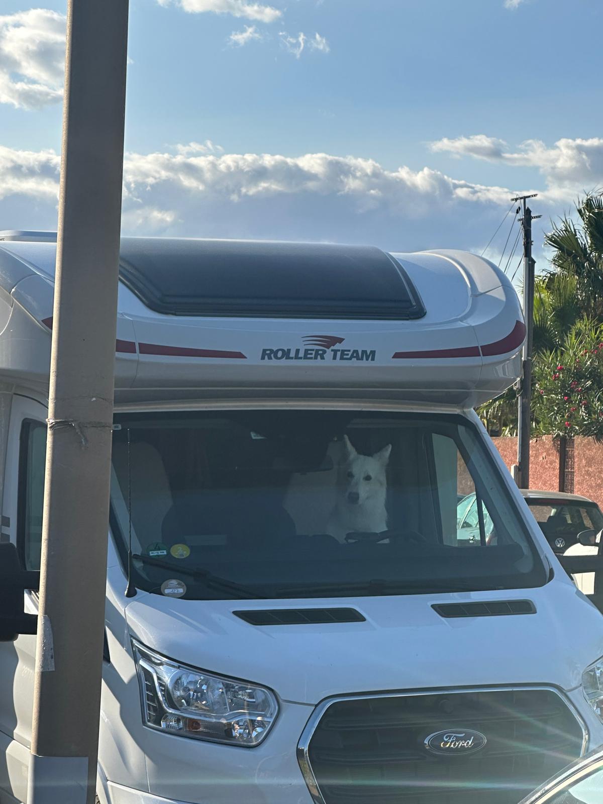WoMo Vias Plage Dakota auf Fahrersitz 2